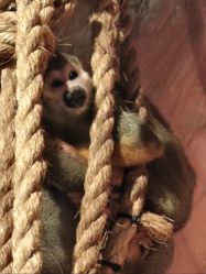 -Zoolung Zoolung动物主题公园(海信广场店)