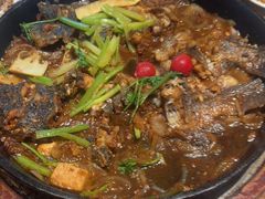 -老板恋上鱼(恒隆广场店)