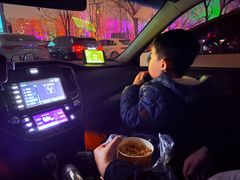 -枫花园汽车电影院(朝阳公园店)