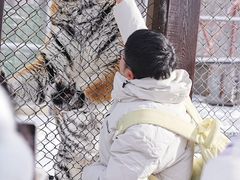 -横道河子东北虎林园