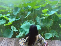 -四川大学(望江校区)