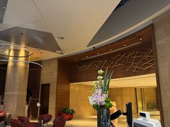 -南京禄口机场雅高铂尔曼大酒店