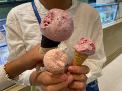 -鹤茶野所(上海首店)