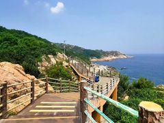 -广东惠东海龟国家级自然保护区