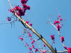 -白鹭湾湿地公园