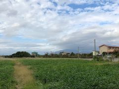 -鹿境梅花鹿生态园区