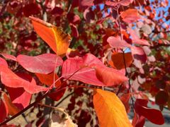 -白水寺森林公园