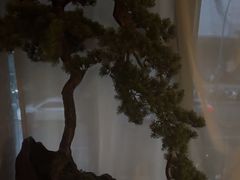 -上足·影院足道·SPA(红岭店)