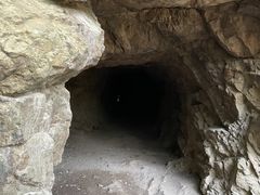 -上海佘山国家森林公园天马山园