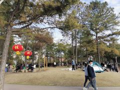 -美兰湖景区