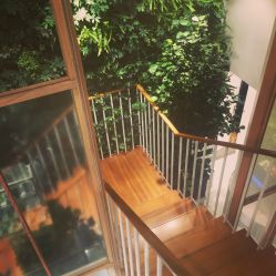 -悦诗风吟innisfree