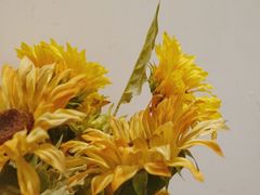 -甜阿姨·天台花园私房菜(万松园店)