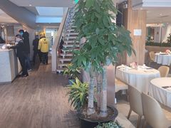 -衡山汇·高级粤菜(霄云路店)