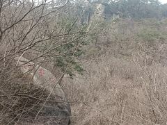 -丹东天桥沟景区