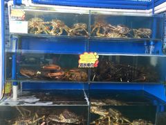水产区-蚝专家(北滘店)