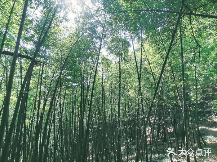 穹窿山景区图片