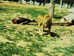 -北京野生动物园