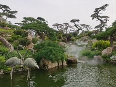 -罗红摄影艺术馆