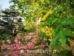 -国家植物园