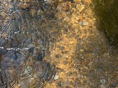 -广州白江湖森林公园