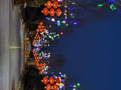 -南宫五洲植物乐园