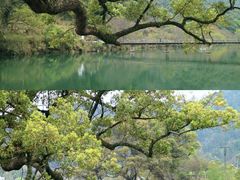 -婺源风景区