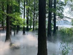 -东湖落雁景区