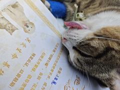 -博特宠物医院24h犬猫全科.骨科·异宠