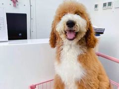 -萌兽医馆·眼科·异宠专科(三里屯店)