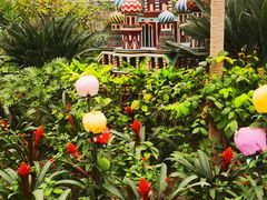 -南宫五洲植物乐园