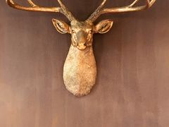 -弗兰克牛排西餐厅Ribone steak house(柠檬花园店)