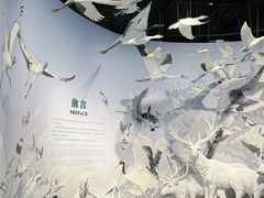 -中国湿地博物馆