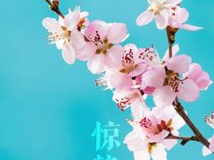 -中国客家博物馆