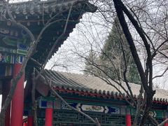 -碑林公园
