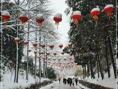 -四明山国家森林公园