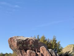 -黑瞎子岛探秘野熊园