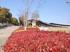 iphone_upload_pic-白塘生态植物园