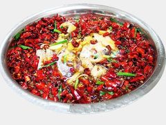 水煮鱼片-观城阁家常菜·烤鱼·锦州烧烤(崇文门店)