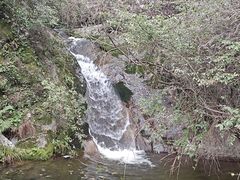 -王顺山国家森林公园