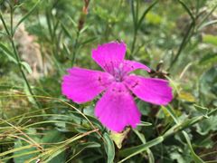 -白草畔自然风景区