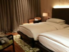 -上海崇明金茂凯悦酒店