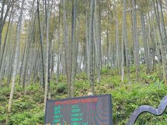 -莫干山风景区