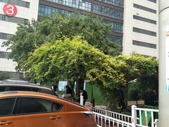 -山东省千佛山医院