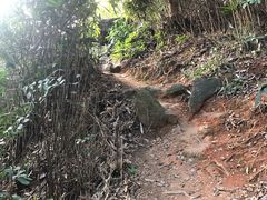 -龙头山森林公园·停车场