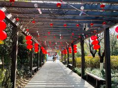 -白马涧龙池景区