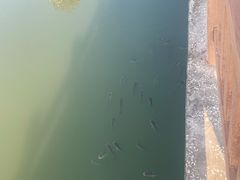 -艾溪湖湿地公园