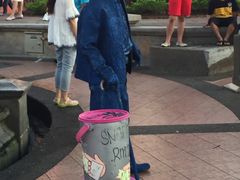 -荷兰红屋