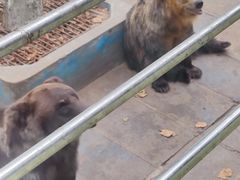 -西霞口神雕山野生动物世界