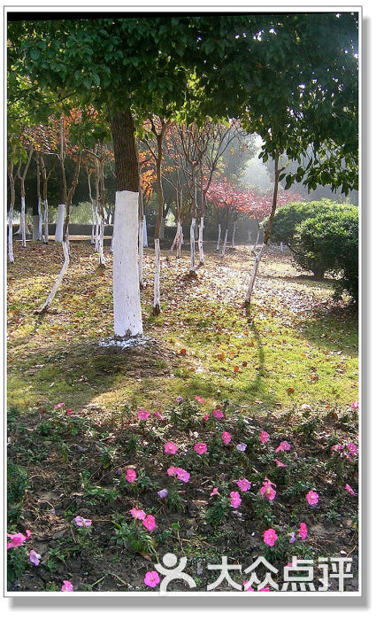 黄桥公园-dscn4896黄桥公园图片-苏州周边游-大众点评网