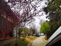 -济南国际园博园